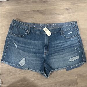 aerie Blue Distressed Denim Jean Shorts Size XXL